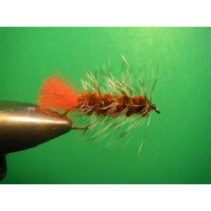 BROWN WOOLY WORM Image