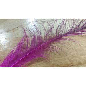 RHEA FEATHER PINK Image